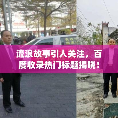流浪故事引人关注，百度收录热门标题揭晓！