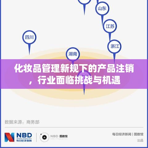 纲挈目张
