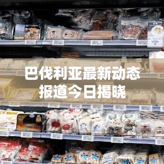 巴伐利亚最新动态报道今日揭晓