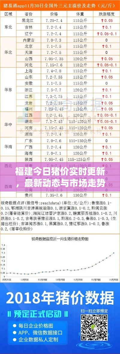 福建今日猪价实时更新，最新动态与市场走势分析