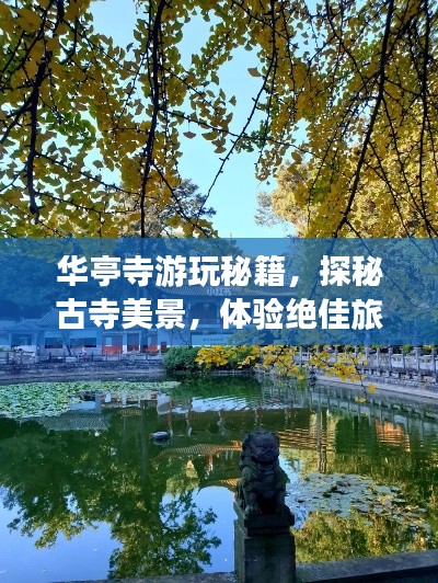 华亭寺游玩秘籍，探秘古寺美景，体验绝佳旅行攻略！