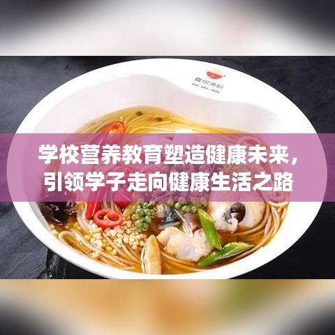 学校营养教育塑造健康未来，引领学子走向健康生活之路