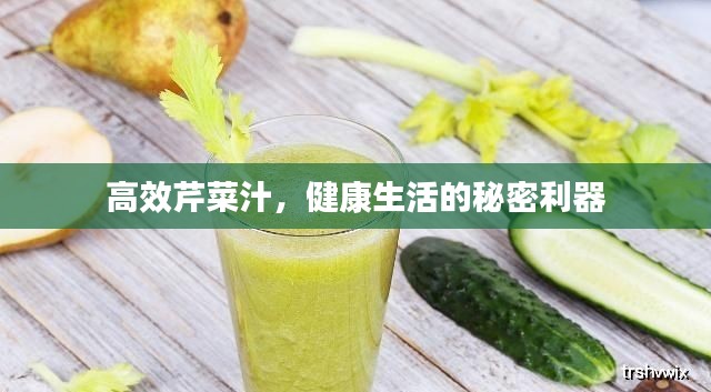 高效芹菜汁，健康生活的秘密利器
