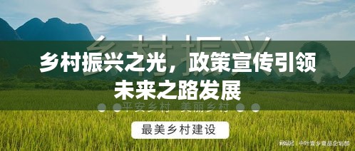 乡村振兴之光，政策宣传引领未来之路发展