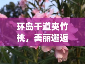 破衲疏羹
