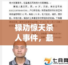 禄劝惊天杀人事件，最新头条新闻，震惊社会！