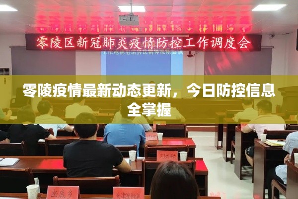 零陵疫情最新动态更新，今日防控信息全掌握