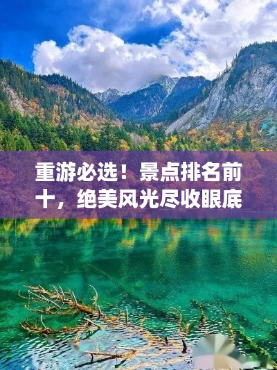 堂堂正正