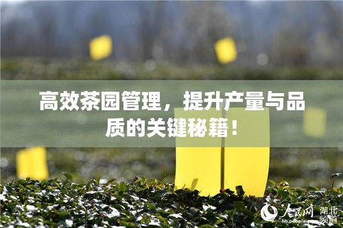 堂而皇之