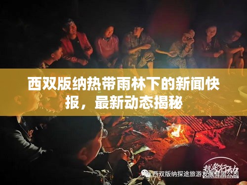 西双版纳热带雨林下的新闻快报，最新动态揭秘