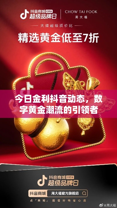 今日金利抖音动态，数字黄金潮流的引领者