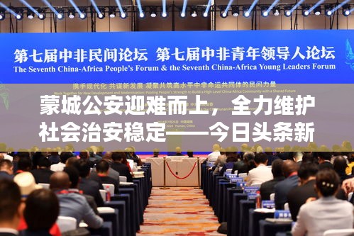 蒙城公安迎难而上，全力维护社会治安稳定——今日头条新闻