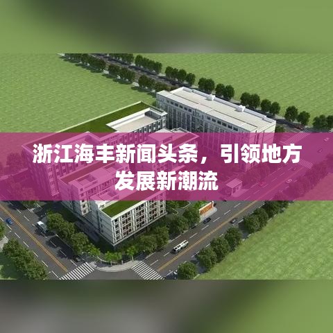 浙江海丰新闻头条，引领地方发展新潮流