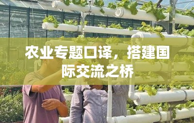 雅量高致