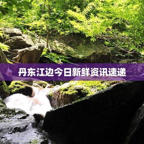 草草了事