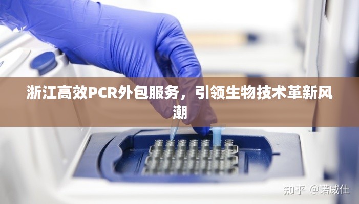 浙江高效PCR外包服务，引领生物技术革新风潮