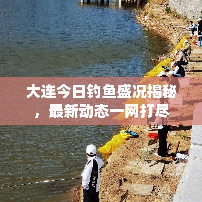 大连今日钓鱼盛况揭秘，最新动态一网打尽