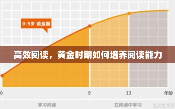 高效阅读，黄金时期如何培养阅读能力