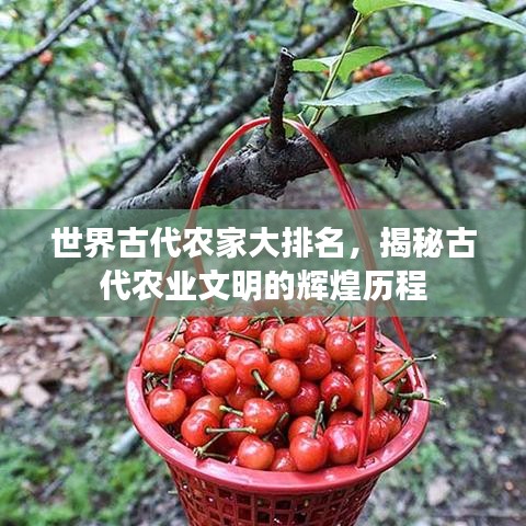 世界古代农家大排名，揭秘古代农业文明的辉煌历程