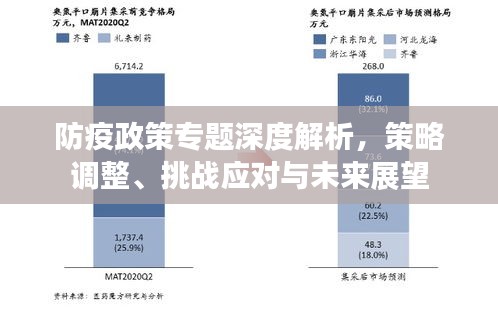 防疫政策专题深度解析，策略调整、挑战应对与未来展望