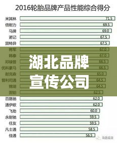 湖北品牌宣传公司权威排名榜单揭晓！