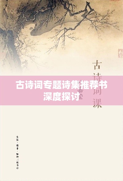 古诗词专题诗集推荐书深度探讨