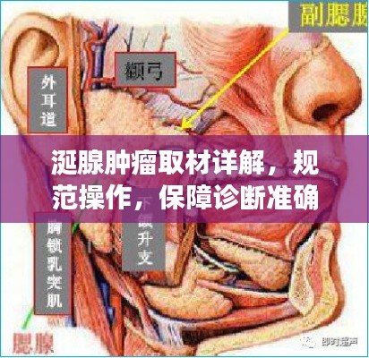 博古通今
