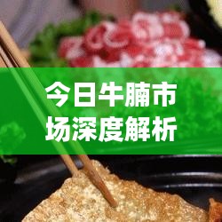 今日牛腩市场深度解析，最新消息、行业趋势与市场动态一网打尽