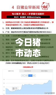 今日猪市动态，最新信息新闻报道速递