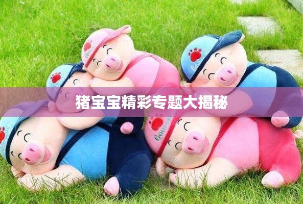猪宝宝精彩专题大揭秘