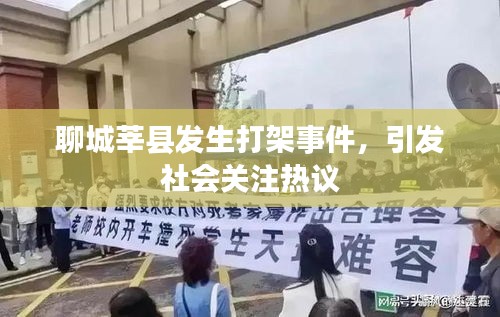 聊城莘县发生打架事件，引发社会关注热议