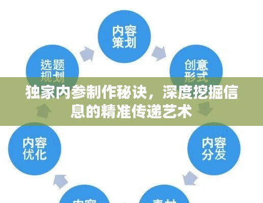 独家内参制作秘诀，深度挖掘信息的精准传递艺术