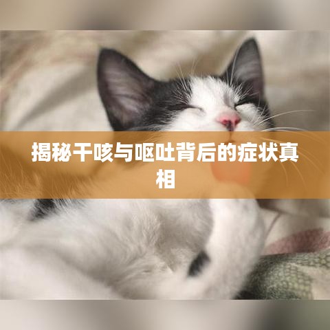 揭秘干咳与呕吐背后的症状真相