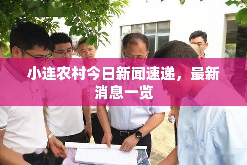 小连农村今日新闻速递，最新消息一览