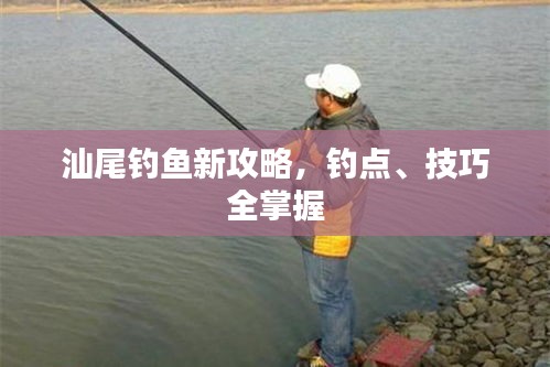 汕尾钓鱼新攻略，钓点、技巧全掌握