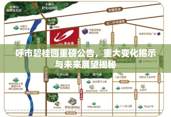 呼市碧桂园重磅公告，重大变化揭示与未来展望揭秘