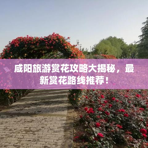 咸阳旅游赏花攻略大揭秘，最新赏花路线推荐！