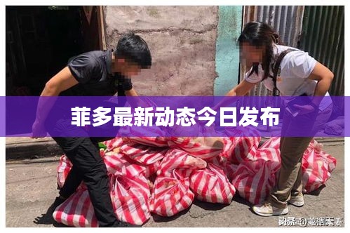 菲多最新动态今日发布