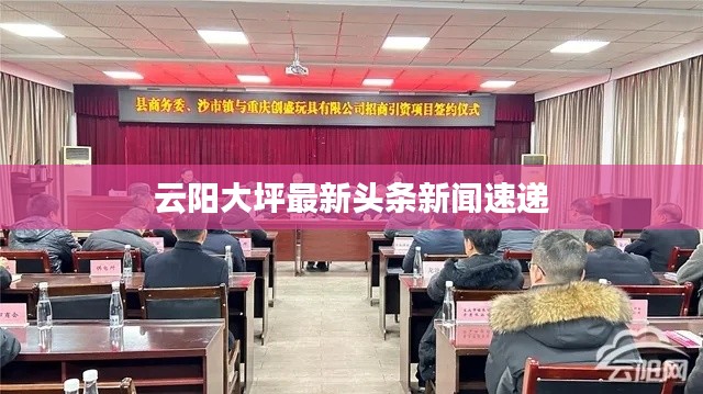 云阳大坪最新头条新闻速递