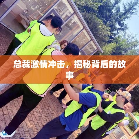 总裁激情冲击，揭秘背后的故事
