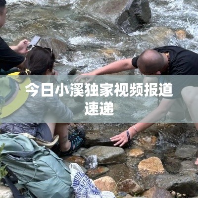 气宇轩昂