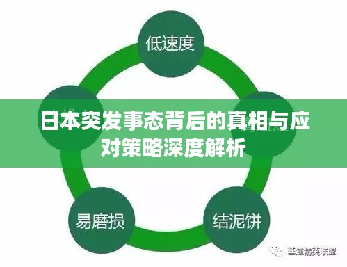 日本突发事态背后的真相与应对策略深度解析