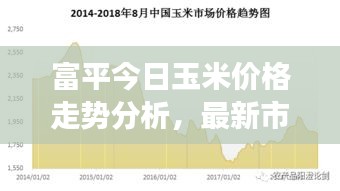 富平今日玉米价格走势分析，最新市场动态揭秘