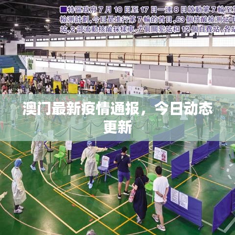 澳门最新疫情通报，今日动态更新