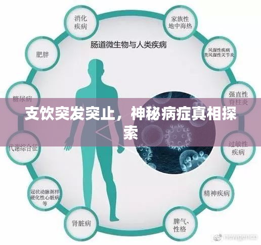 支饮突发突止，神秘病症真相探索