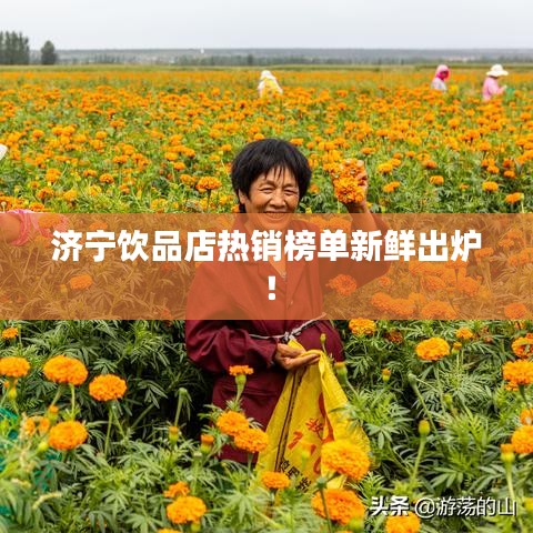 济宁饮品店热销榜单新鲜出炉！