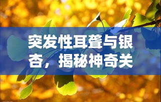 突发性耳聋与银杏，揭秘神奇关联！