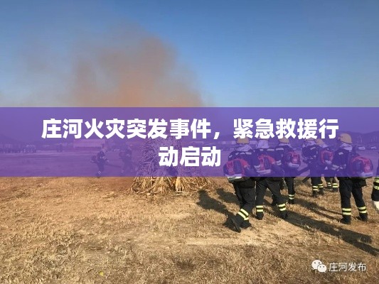 庄河火灾突发事件，紧急救援行动启动