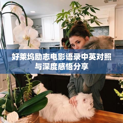 好莱坞励志电影语录中英对照与深度感悟分享