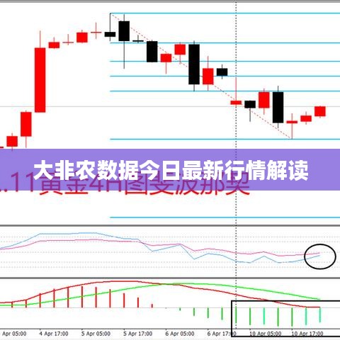 大非农数据今日最新行情解读